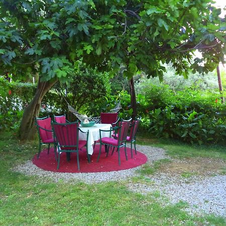 Apartments Nikcevic Budva Ngoại thất bức ảnh